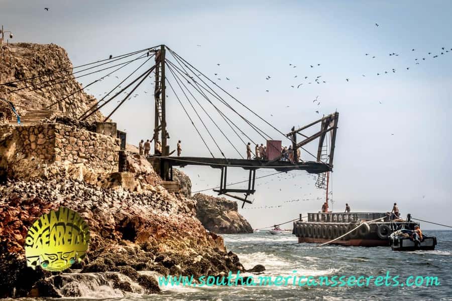 From Paracas: Ballestas Islands tour all Inclusive - Getting picked up at Paracas: where the tour starts