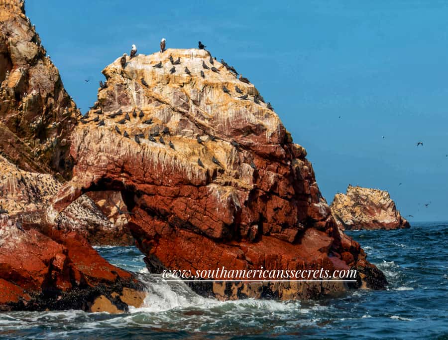 From Paracas: Ballestas Islands tour all Inclusive - The quick speedboat segments: fast moving, so plan your comfort