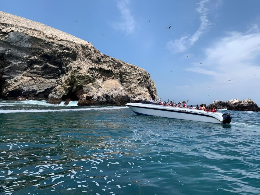 From Paracas: Ballestas Islands tour all Inclusive - Price and value: why this $17 tour is surprisingly practical