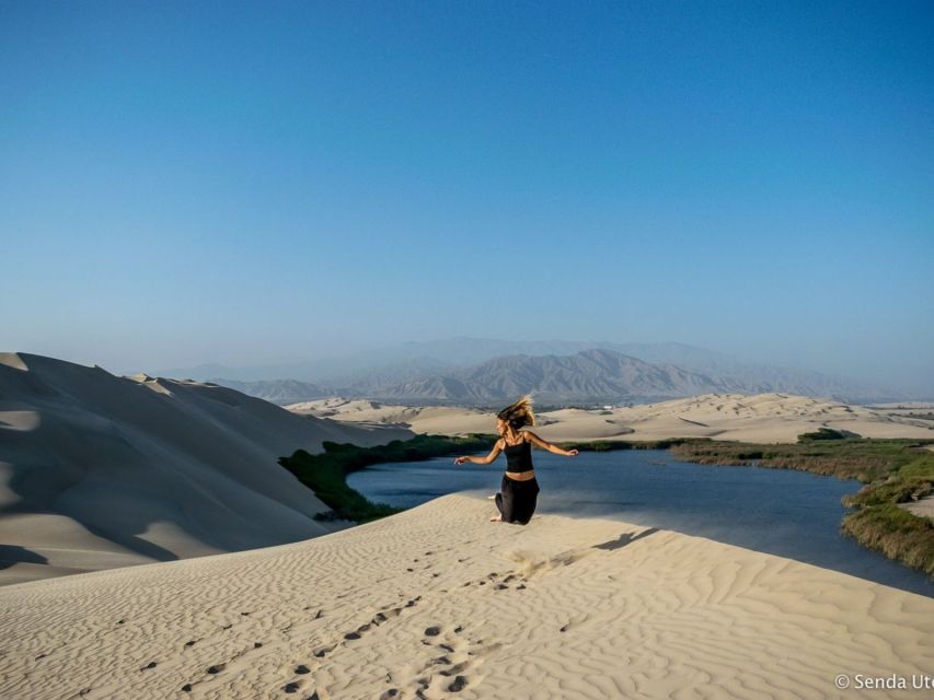 From Paracas: Mini Buggy Tour & Sandboarding at Oasis - Water time: kayaking, paddle boarding, and cooling down