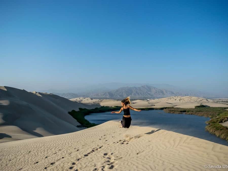 From Paracas: Mini Buggy Tour & Sandboarding at Oasis - Price and value: why $83 for 3 hours can make sense