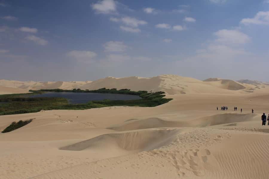 From Paracas: Mini Buggy Tour & Sandboarding at Oasis - Who should book—and who should skip