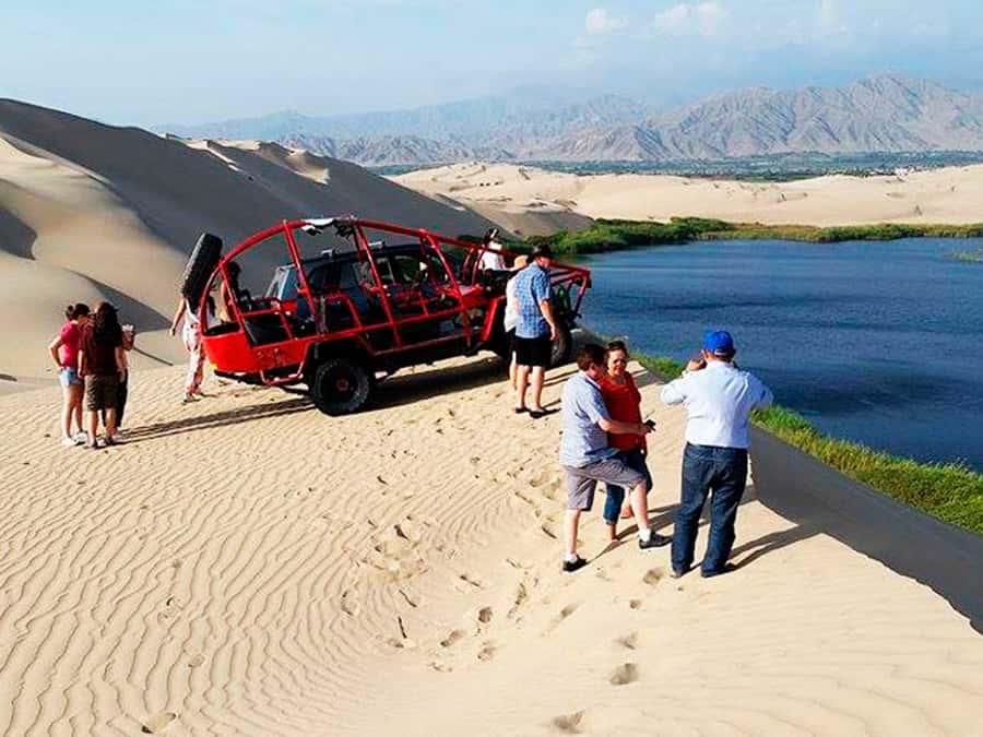 From Paracas: Mini Buggy Tour & Sandboarding at Oasis - Mini buggies in the dunes: the adrenaline part that’s actually worth it