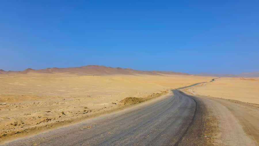 From Paracas: Paracas National Reserve Private Tour - Key moments that make this Paracas reserve tour worth your time