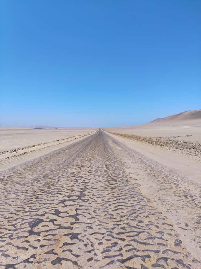 From Paracas: Paracas National Reserve Private Tour - Who this tour fits best (and who should reconsider)