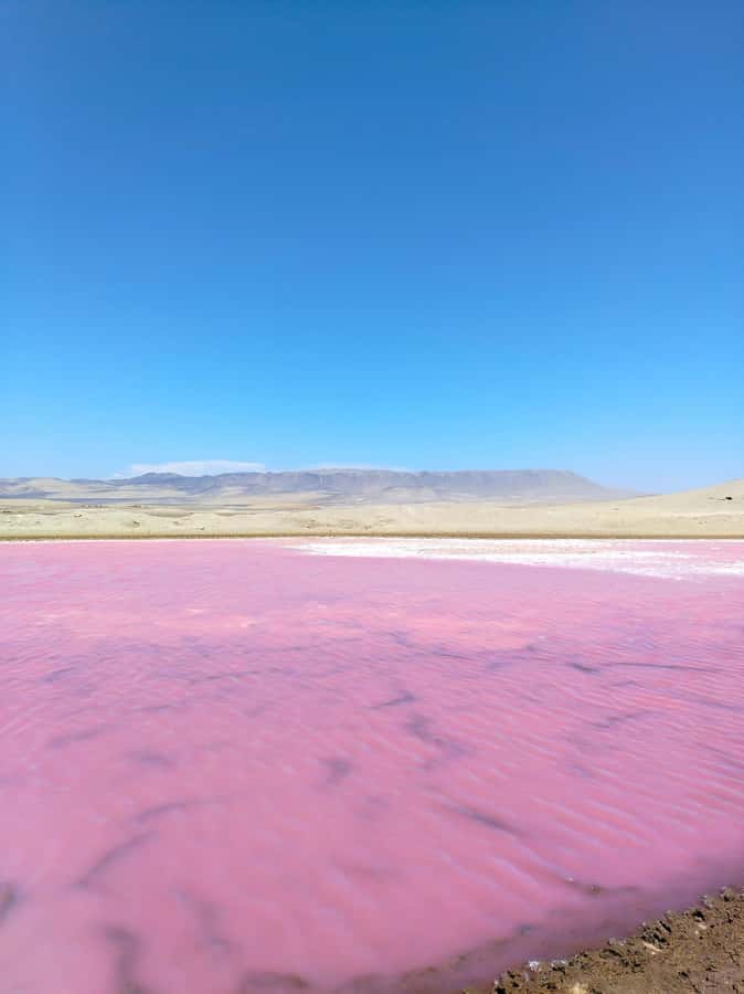From Paracas: Paracas National Reserve Private Tour - Paracas National Reserve: where desert, sea, and birds share one viewpoint