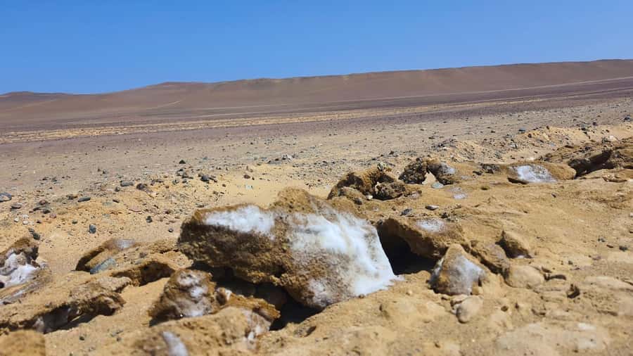 From Paracas: Paracas National Reserve Private Tour - Pickup in Paracas or Pisco and the pace of a private group