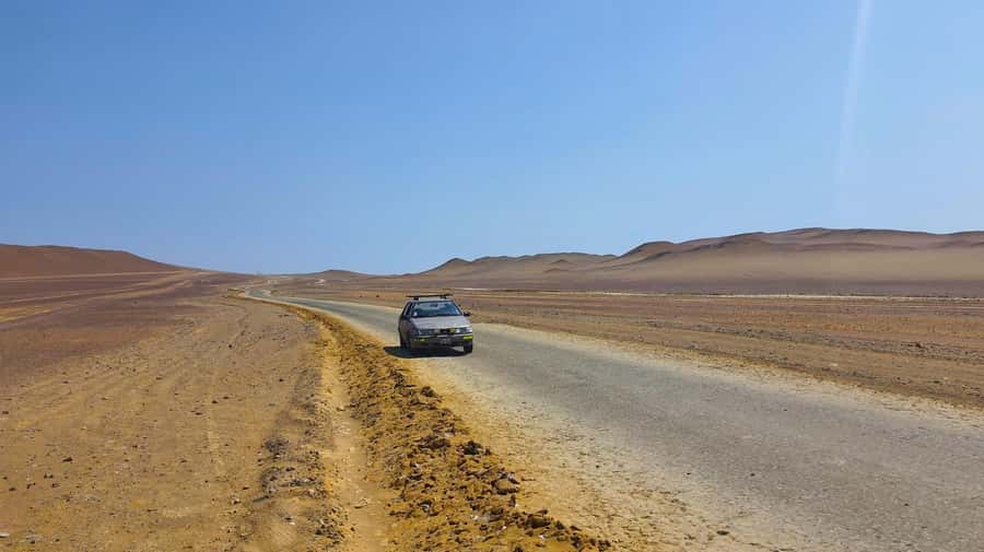 From Paracas: Paracas National Reserve Private Tour - Ballestas boat ride: sea lions and migratory birds up close