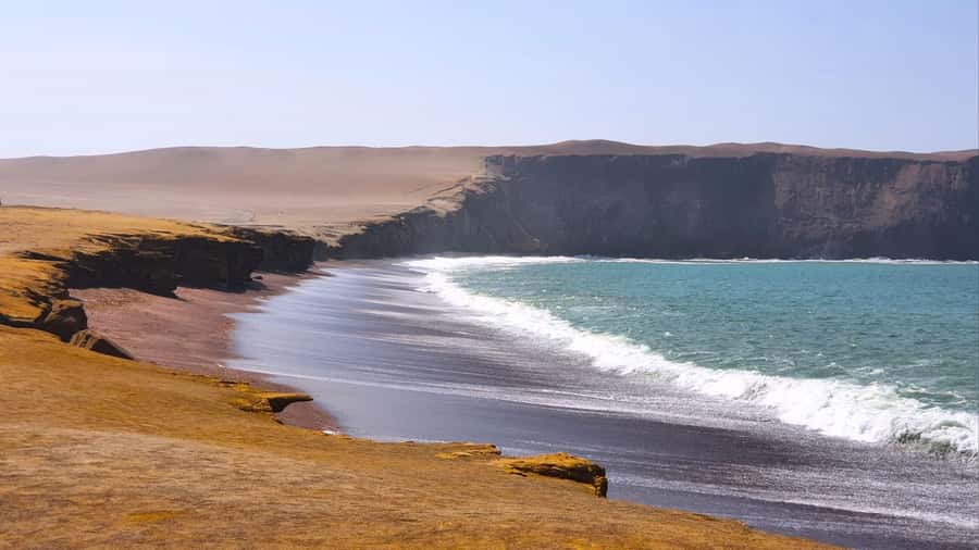 From Paracas: Paracas National Reserve Private Tour - What to bring (and what to leave behind) for a smooth day