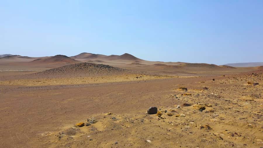 From Paracas: Paracas National Reserve Private Tour - Price check: does $48 cover the real cost of this 3-hour outing?
