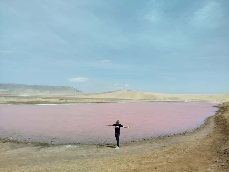 From San Martin Port: Ballestas Island & Paracas Reserve - Key things to know before you go