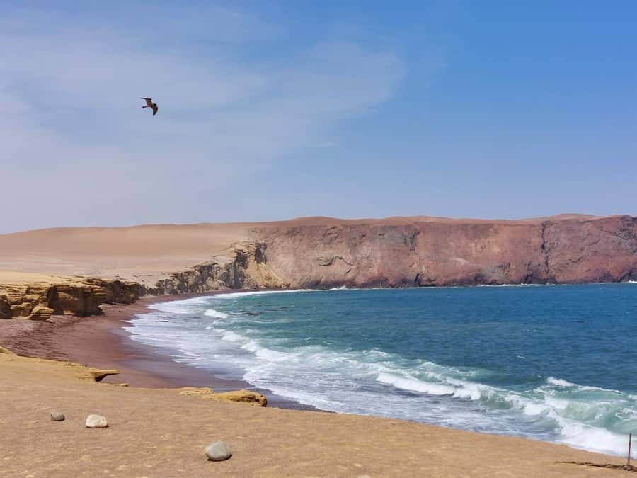From San Martin Port: Ballestas Island & Paracas Reserve - Why Ballestas and Paracas together feels efficient