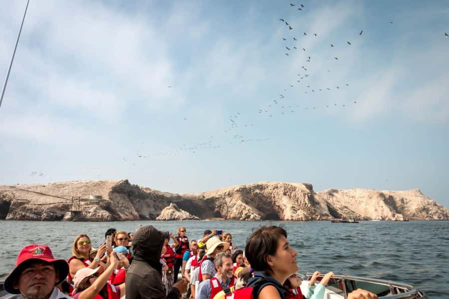 From San Martin Port: Ballestas Island & Paracas Reserve - Speedboat to Ballestas: Candelabro first, wildlife next