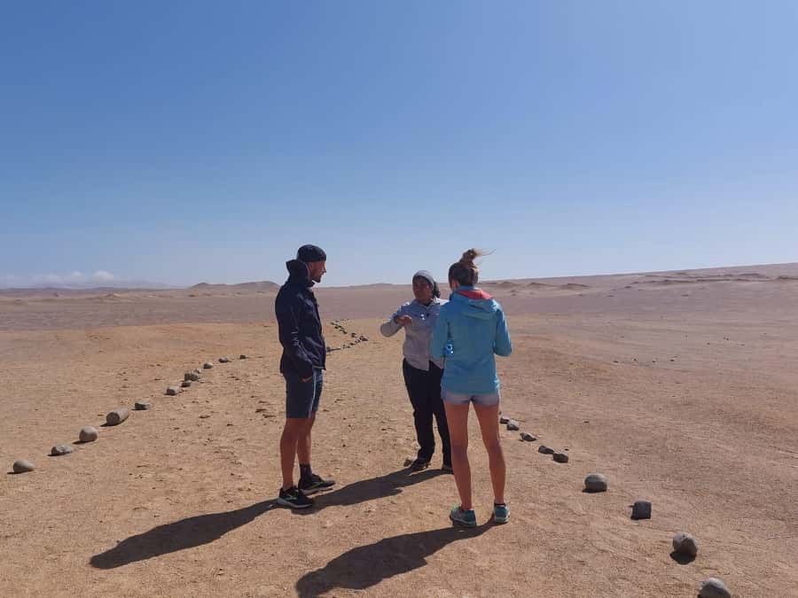 From San Martin Port: Ballestas Island & Paracas Reserve - The guided reserve portion: fossils, desert viewpoints, and named sights