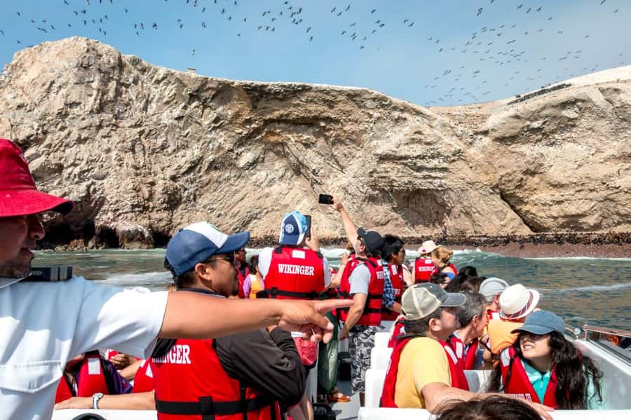 From San Martin Port: Ballestas Island & Paracas Reserve - Price and value: what $74 really buys (and what it doesn’t)