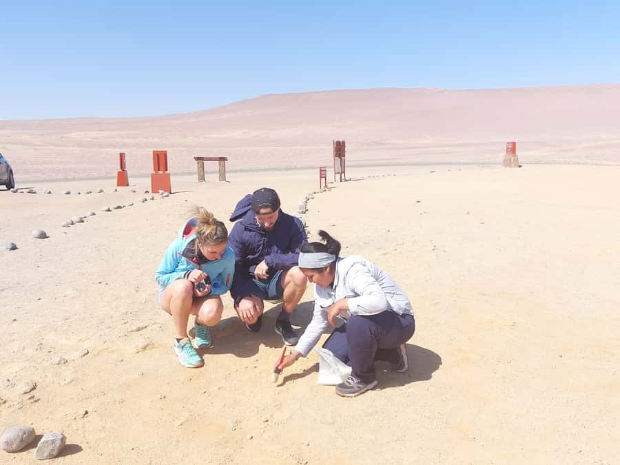 From San Martin Port: Ballestas Island & Paracas Reserve - Language and organization: plan for Spanish on transfers