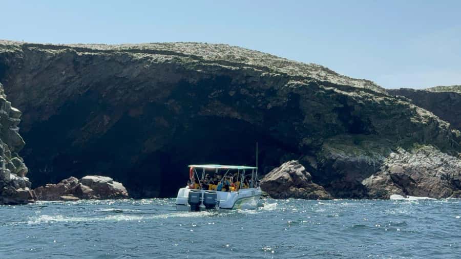 From San Martin Port: Ballestas Islands Tour in Paracas - Ballestas Islands in real life: sea lions, penguins, and seabirds