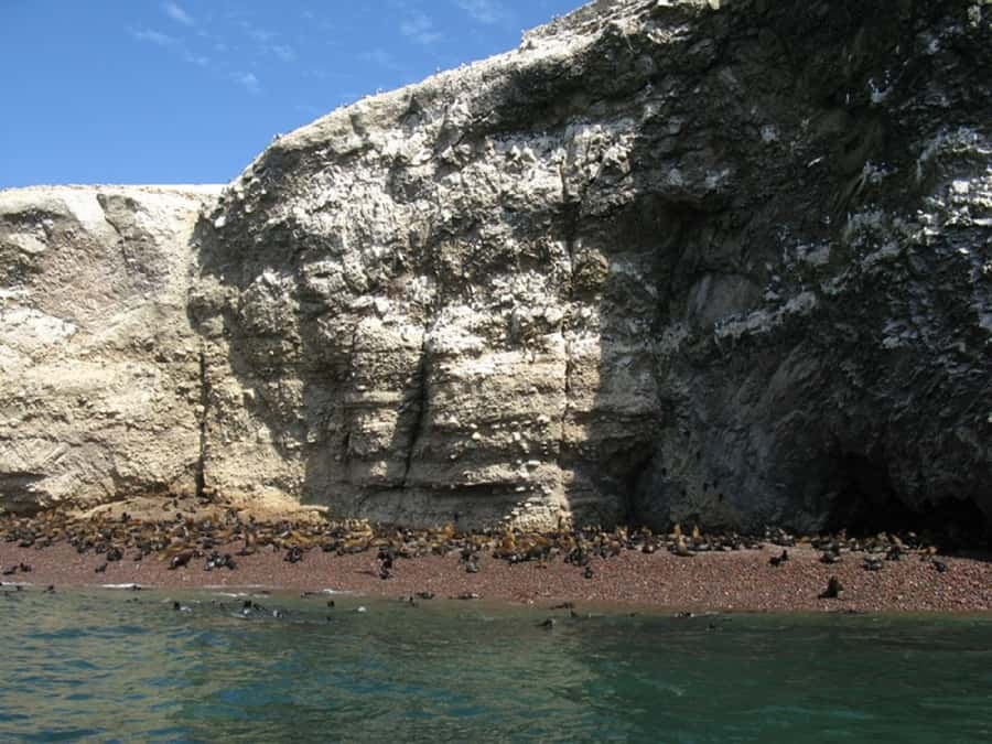 From San Martin Port: Ballestas Islands Tour in Paracas - The guano connection: how birds power an economy and an ecosystem