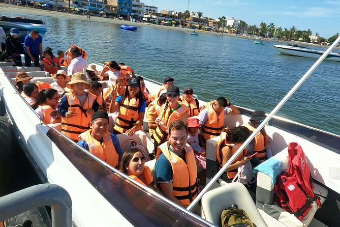 Full day Tour Paracas Ica & Huacachina from Lima. - Paracas and Las Islas Ballestas: wildlife watching with real payoff