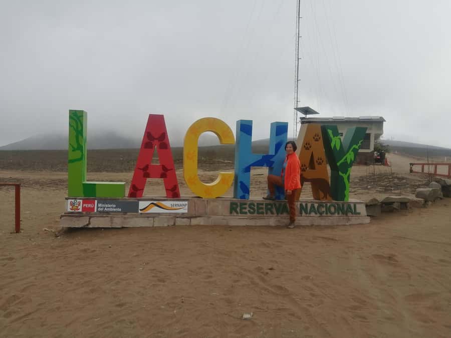 Hiking Lomas de Lachay in Lima - Lomas de Lachay: desert silence with a green surprise close to Lima