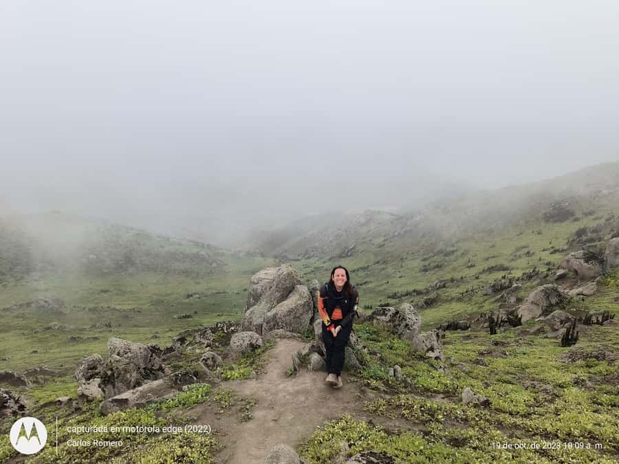 Hiking Lomas de Lachay in Lima - Your 2-hour hike through dunes and hills
