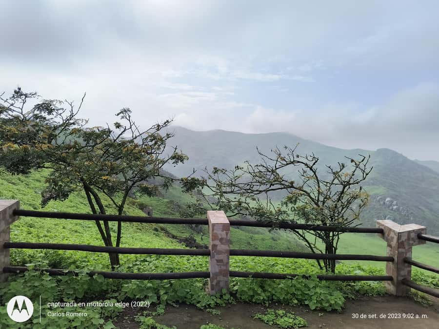 Hiking Lomas de Lachay in Lima - What to wear and pack for Lomas de Lachay