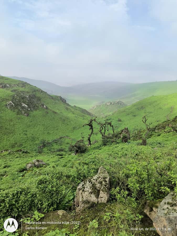 Hiking Lomas de Lachay in Lima - The 5:00 am pickup and 10-hour day plan (and why it matters)
