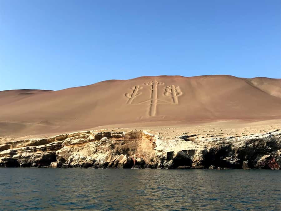 Ica: Ballestas Island & Paracas Reserve Private Tour - Key highlights you’ll feel right away
