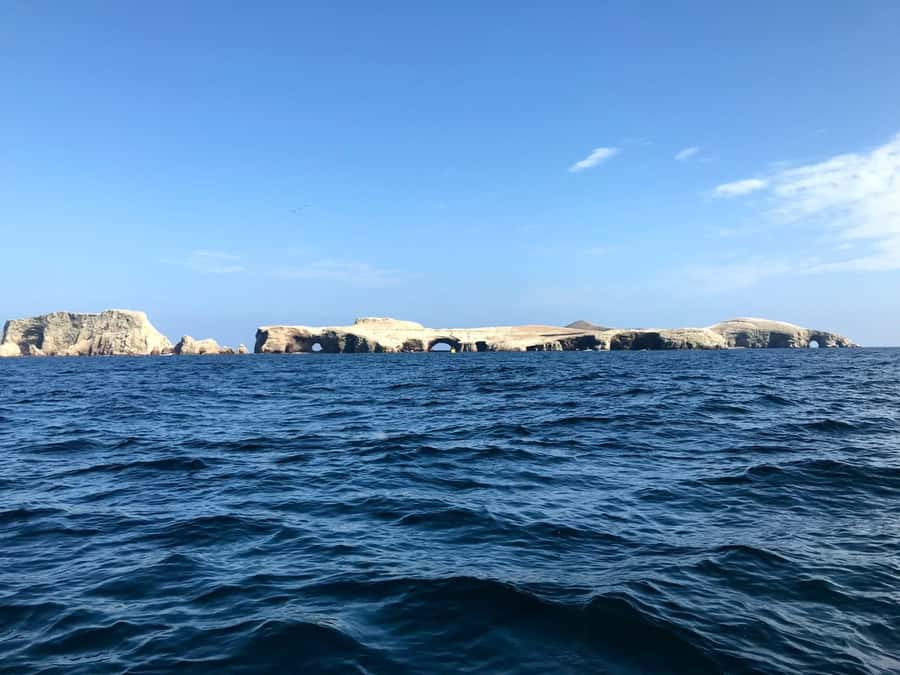 Ica: Ballestas Island & Paracas Reserve Private Tour - Ballestas Islands by speedboat: what you’ll see from the water