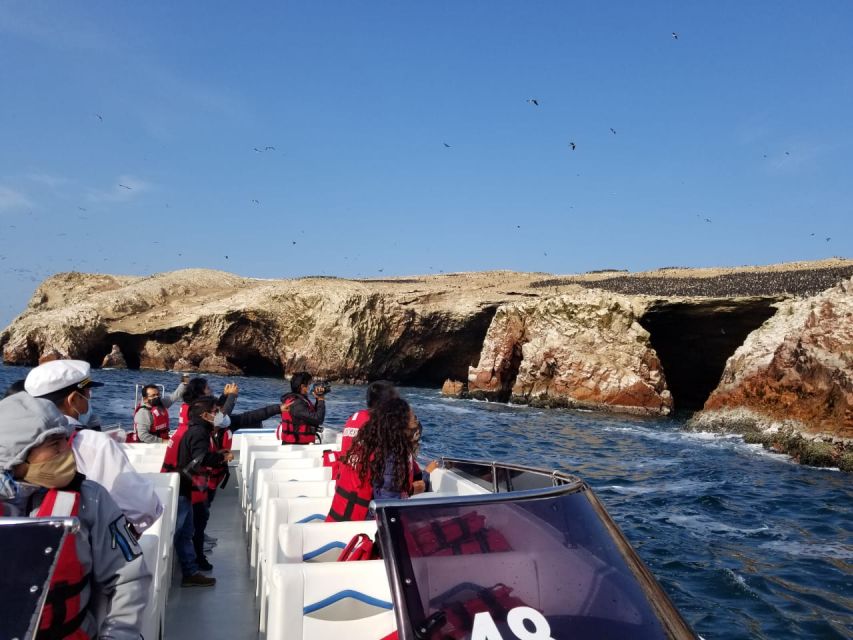 Ica: Ballestas Island & Paracas Reserve Private Tour - Paracas National Reserve road trip: Cathedral and high sandstone cliffs