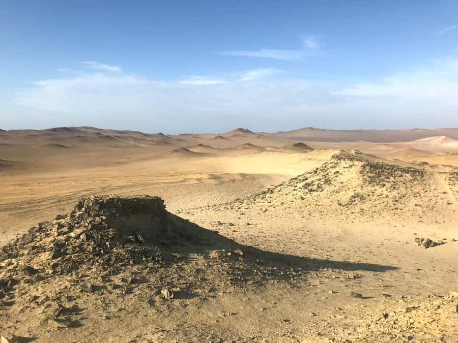Ica: Ballestas Island & Paracas Reserve Private Tour - Price and value: what $100 covers and what costs extra in cash