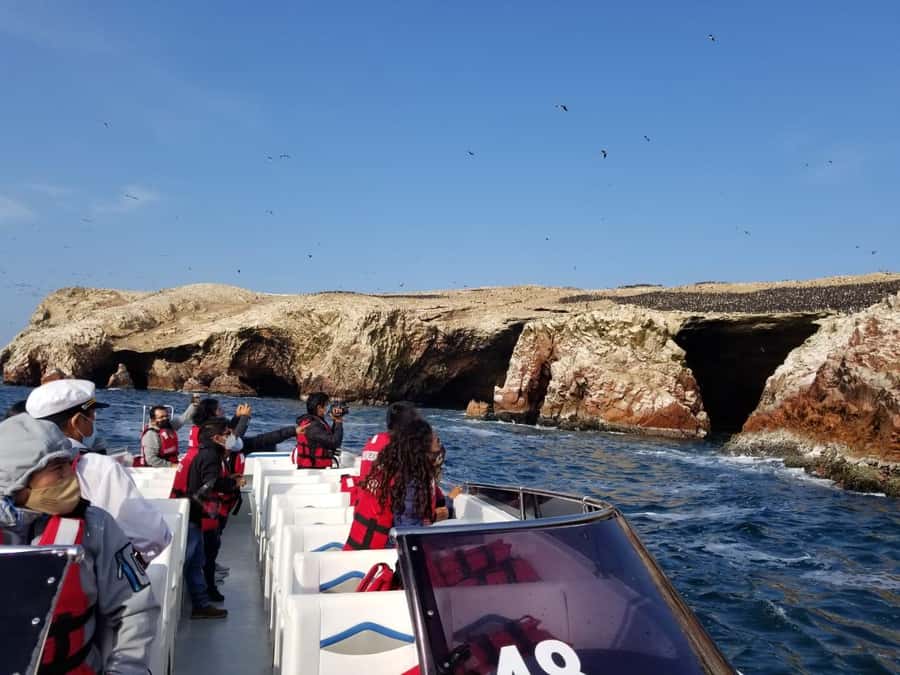 Ica: Ballestas Island & Paracas Reserve Private Tour - Tips for a smooth day: timing, what to bring, and what to avoid