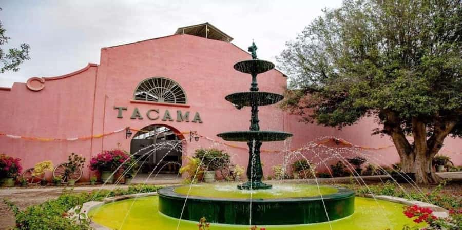 Ica: Tacama Winery and Pisco Tasting Tour with Hotel Pickup - Key highlights that make this tour worth your time