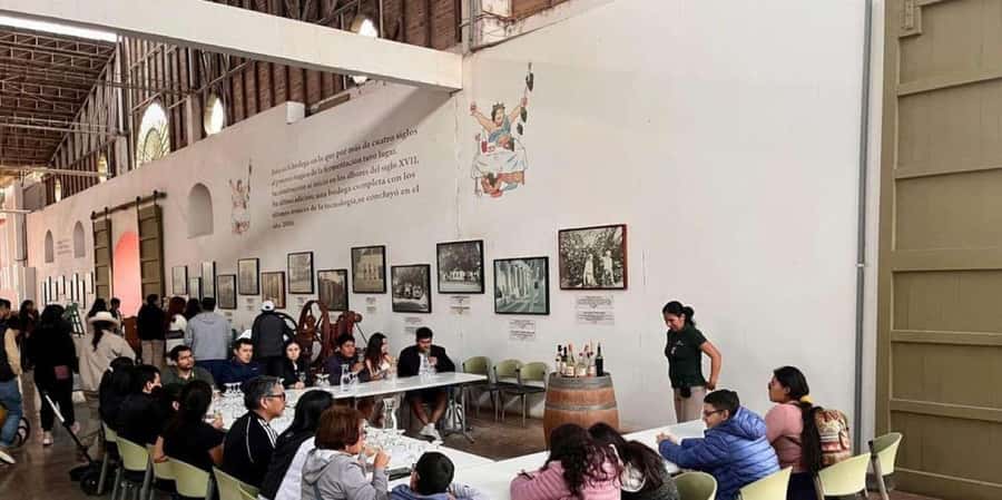 Ica: Tacama Winery and Pisco Tasting Tour with Hotel Pickup - Campiña Iqueña and the Ica wine landscape