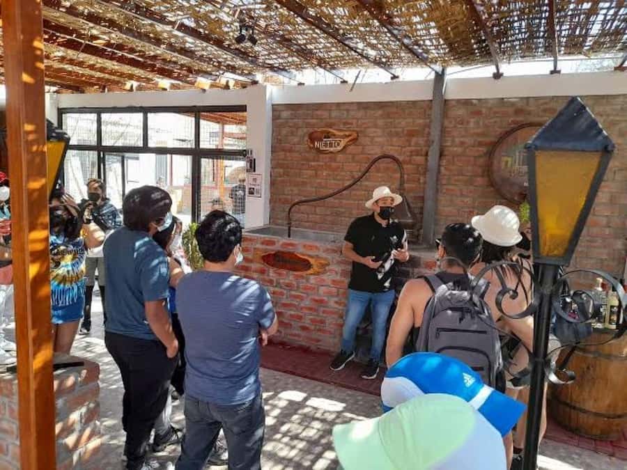 Ica: Tacama Winery and Pisco Tasting Tour with Hotel Pickup - Bodega El Catador: handcrafted Pisco and the tastings you’ll remember
