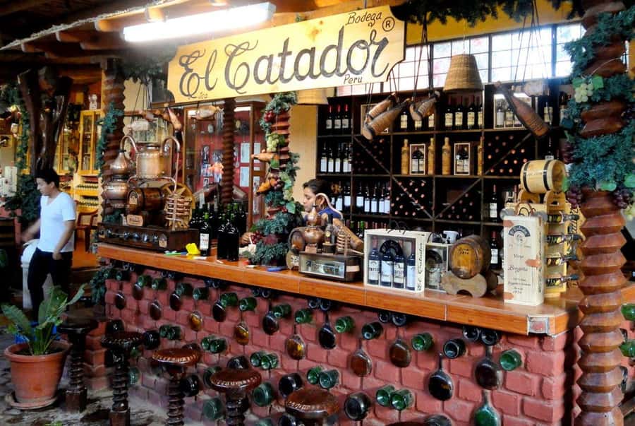 Ica: Tacama Winery and Pisco Tasting Tour with Hotel Pickup - Hotel pickup and small-group pace (plus a real-world tip)