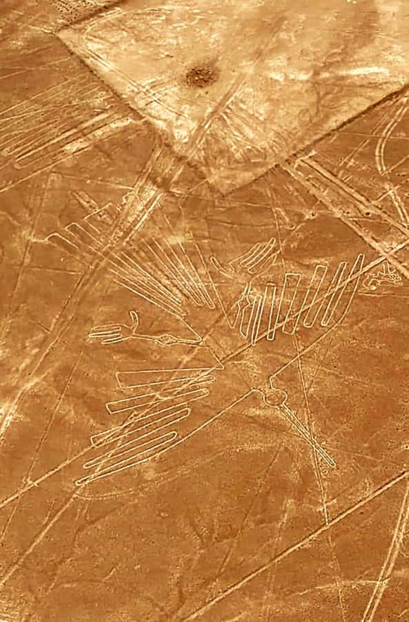 Lima and Nasca : Ballestas -Huacachina-Nasca Lines - Nasca Lines from the air: 35 minutes that change how the desert reads