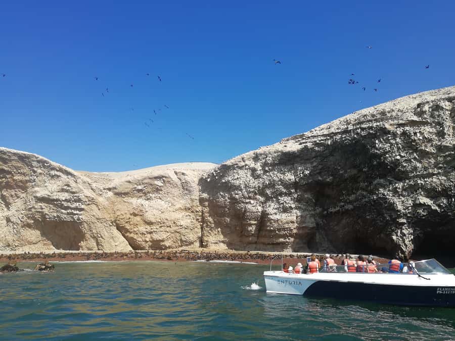 Lima: Ballestas Islands, Winery and Nazca Lines Private Tour - Key highlights worth your attention
