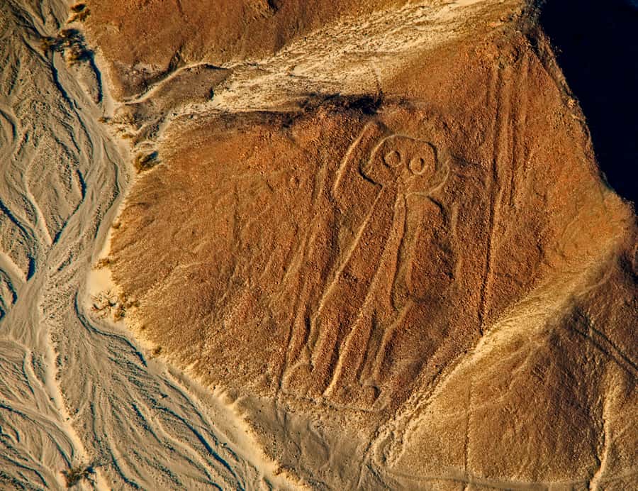 Lima: Ballestas Islands, Winery and Nazca Lines Private Tour - Who should book this tour, and who should think twice