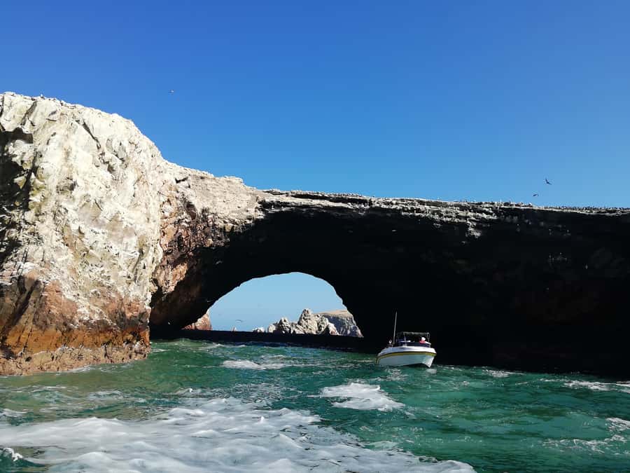 Lima: Ballestas Islands, Winery and Nazca Lines Private Tour - Ballestas Islands by long-tail boat: wildlife viewing done right