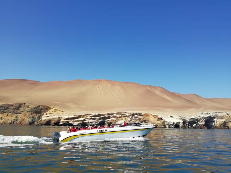 Lima: Ballestas Islands, Winery and Nazca Lines Private Tour - Price and value: is $660 per person fair?