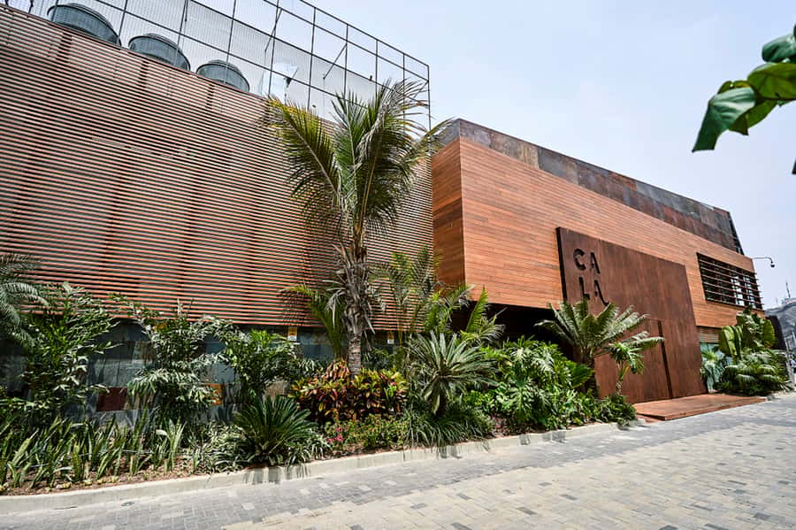 Lima: Demo Cooking Class with Lunch at Cala Restaurant - Who should book this (and who should skip it)