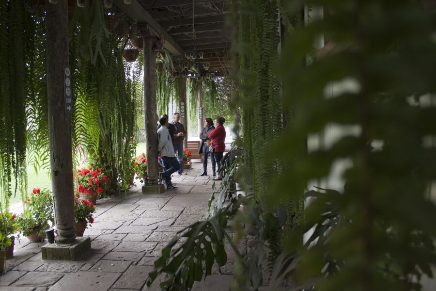 Lima: Half-Day Colonial Lima and Larco Museum Tour - What to bring, what to watch, and who this tour fits best
