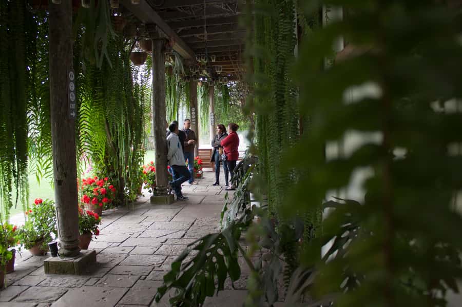 Lima: Half-Day Colonial Lima and Larco Museum Tour - Should you book this tour?