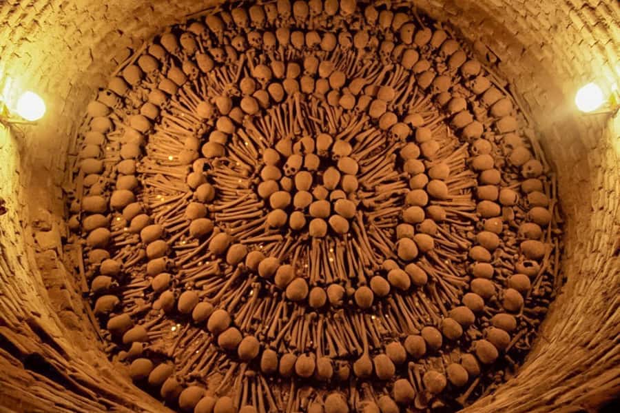 Lima: Historic Downtown, Miraflores & Catacombs Private Tour - Lima’s downtown, catacombs, and ocean views in 4 hours