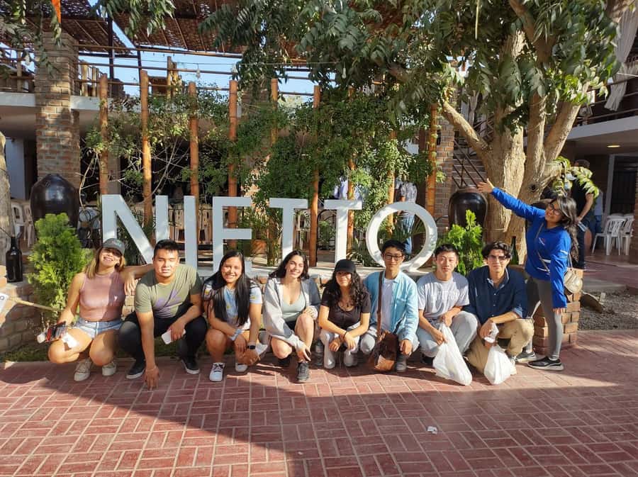 Lima: Huacachina, Winery, & Nazca Lines from Pisco Airport - V8 dune buggies and sandboarding: the thrill (and the safety reality)