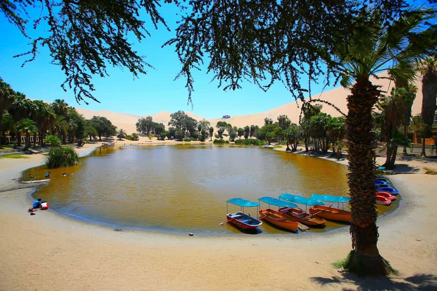 Lima: Huacachina, Winery, & Nazca Lines from Pisco Airport - The Ica countryside stop: winery tour and Pisco tastings