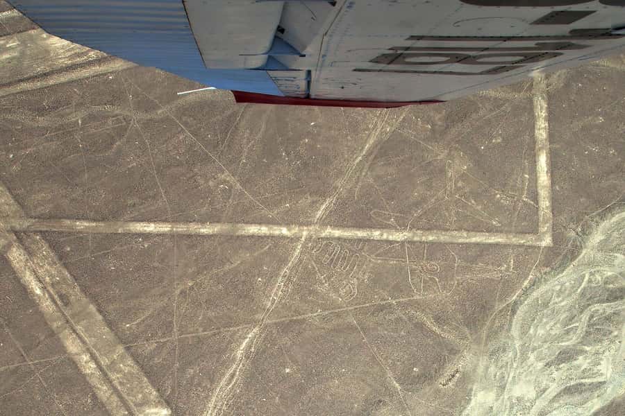 Lima: Huacachina, Winery, & Nazca Lines from Pisco Airport - Who this tour is best for (and who should skip it)