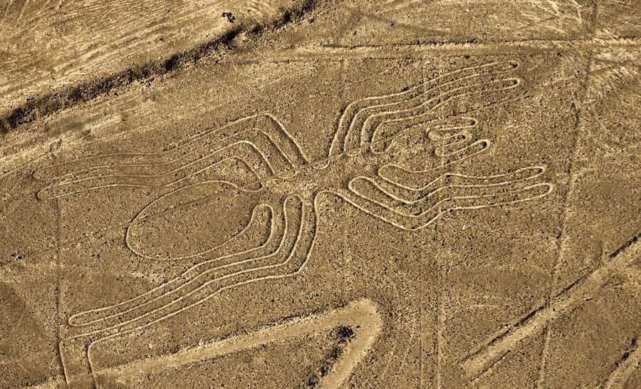 Lima: Huacachina, Winery, & Nazca Lines from Pisco Airport - Nazca Lines flight from Pisco: what you’ll see in the sky