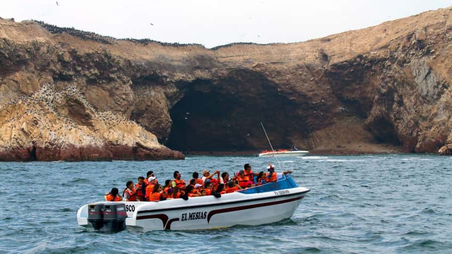 Lima | Islas Palomino Tour | Swim with Sea Lions - Timing and sea conditions: the one variable you can’t control